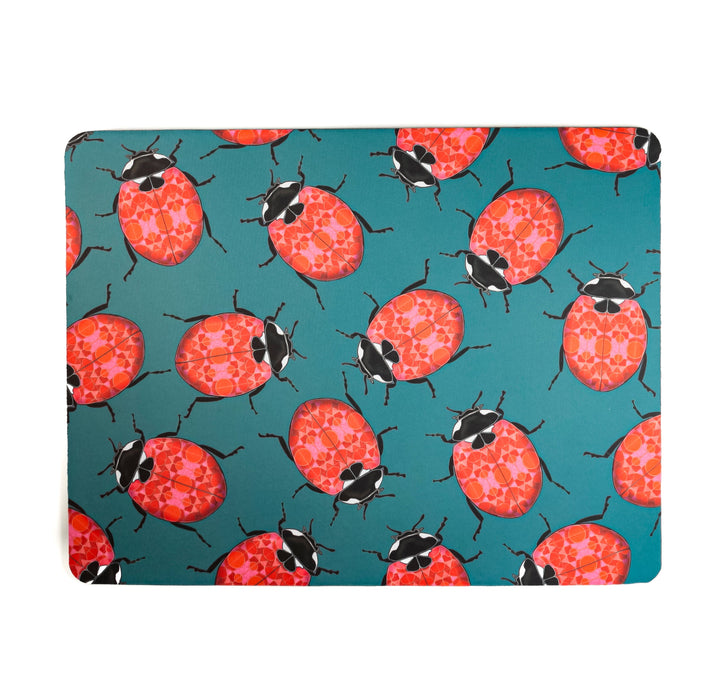 SALE Red Ladybirds Large Pet Food Mat
