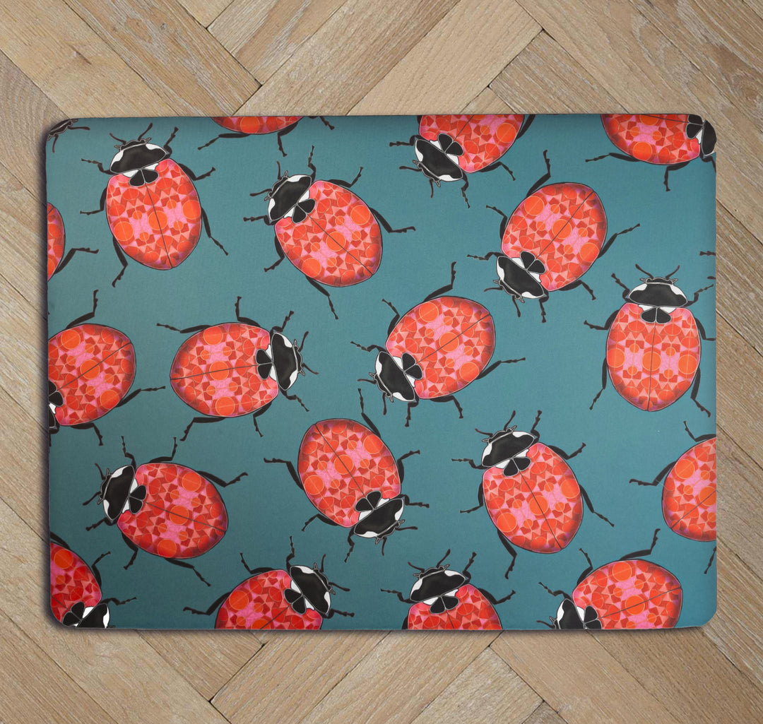 SALE Red Ladybirds Large Pet Food Mat