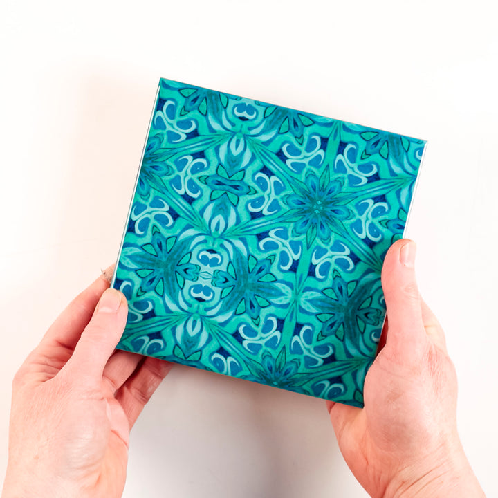 SALE - Set of 20x 15.2cm Agapanthus Offset - Perfect
