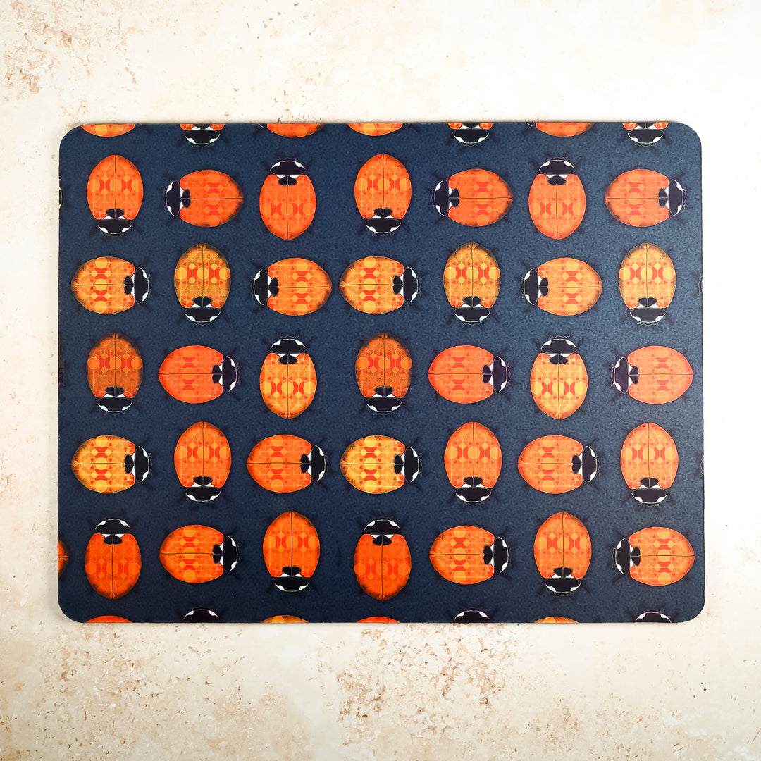 Lanternbug / Ladybird Large Pet Food Mat