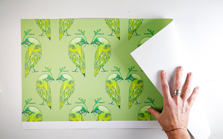 Sale - Green Lovebirds - Peel &amp; Stick Wallpaper Sample