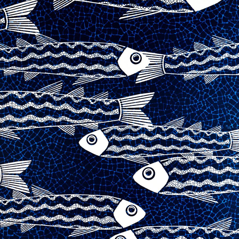 Sale - Zebra Danio Fish  - Pre-pasted Wallpaper Sample