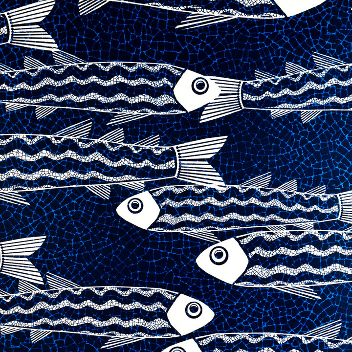 Sale - Zebra Danio Fish  - Pre-pasted Wallpaper Sample