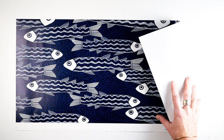 Sale - Zebra Danio Fish  - Pre-pasted Wallpaper Sample