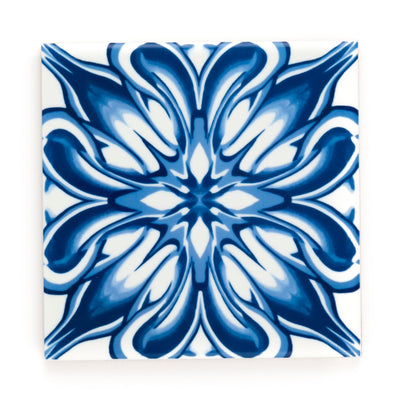 Dutch Blue & White tiles