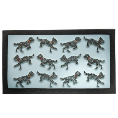 Black cockerpoos with red collars on a grey blue background