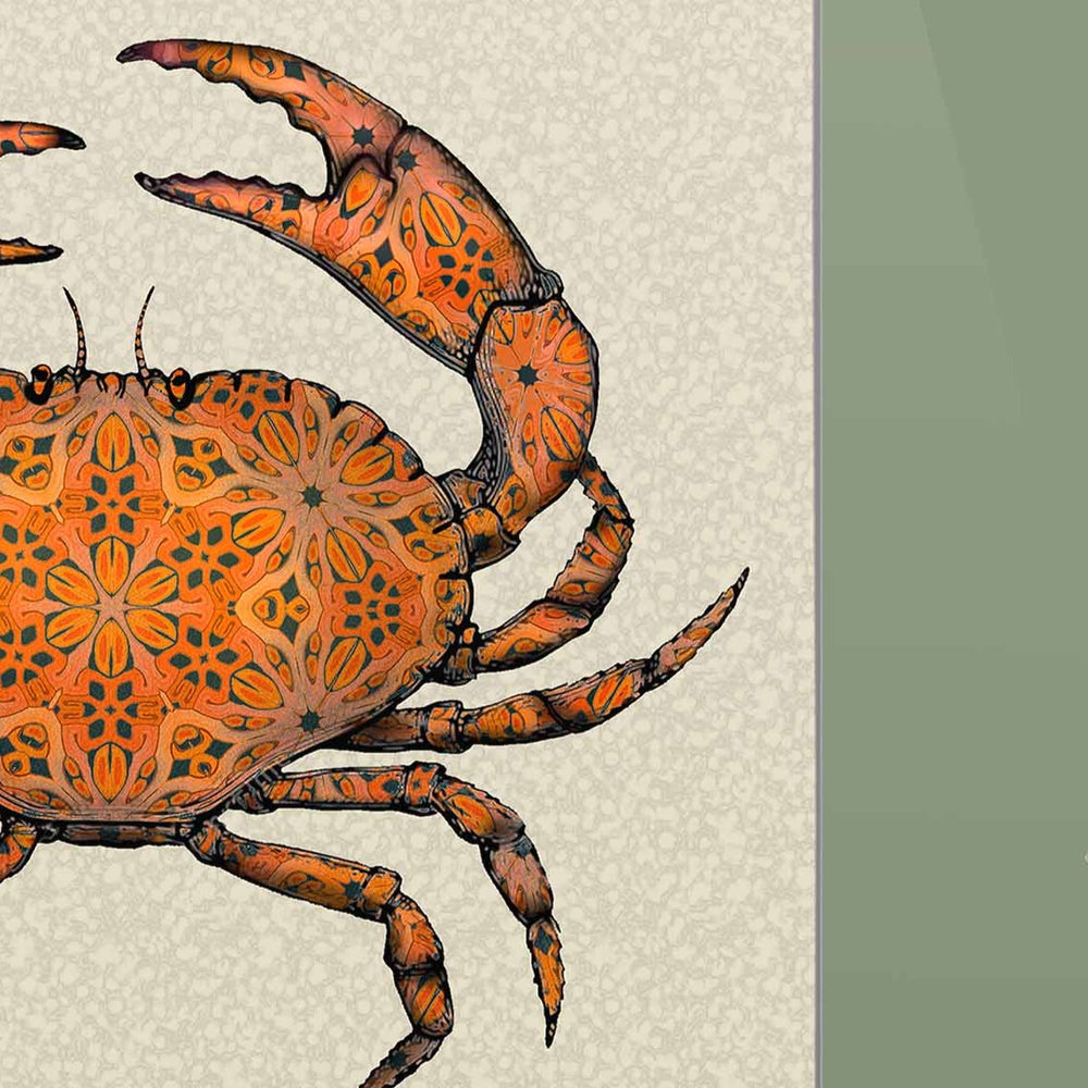 'Crabby' Kitchen Splashback