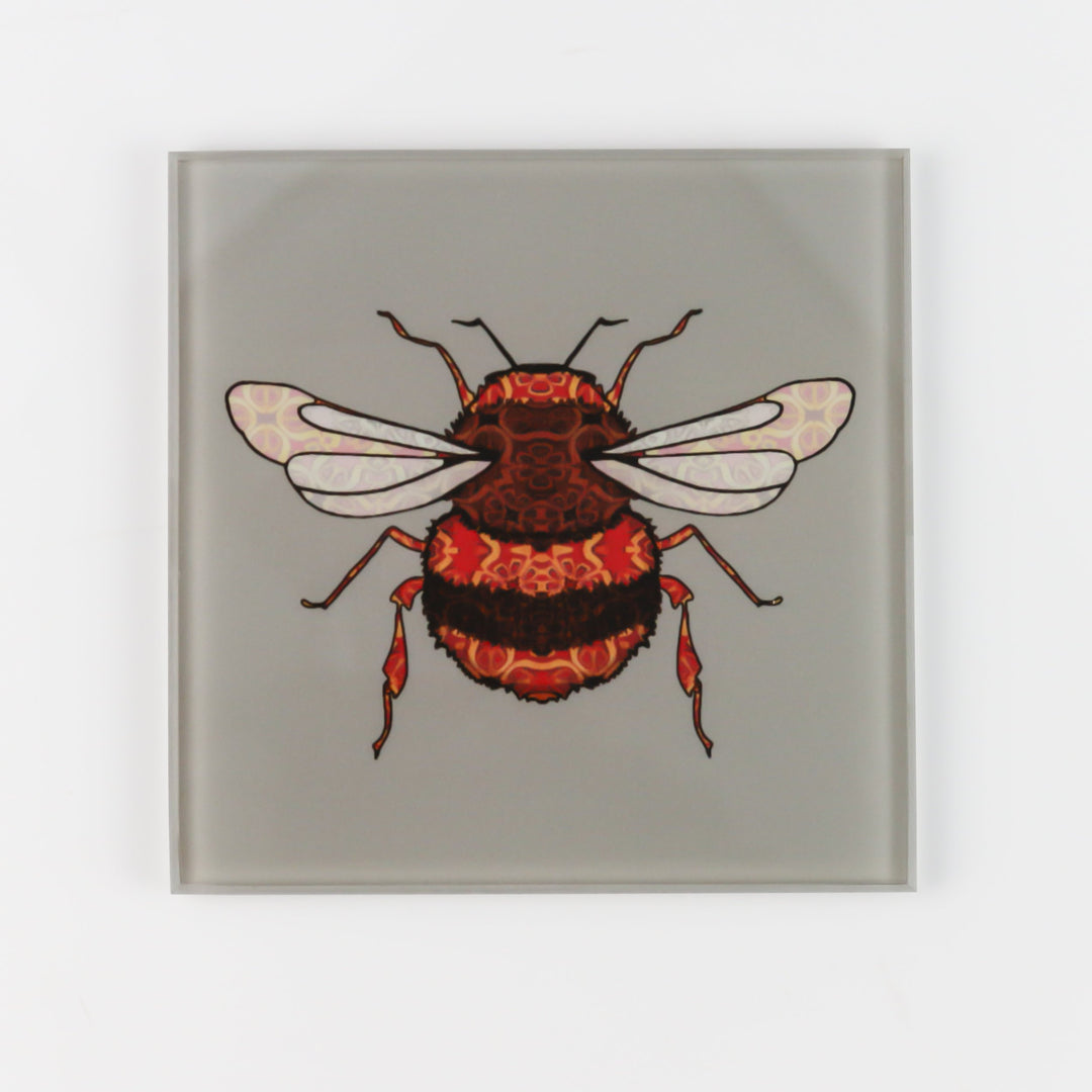 Bumble Bee Coaster Set - taupe